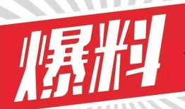 金吉鸟最新爆料图片大全,图片大全揭秘幕后精彩瞬间